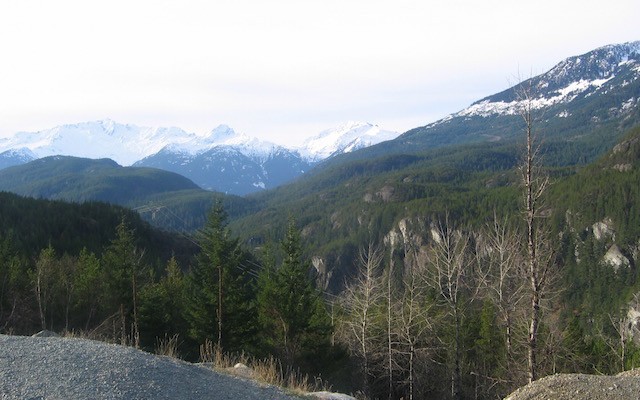 Canada wil worden beloond voor bossen die CO2 uit de atmosfeer opnemen.
