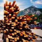 Halfbewerkt hout aan de Canadese westkust, product van de Canadese houtindustrie.